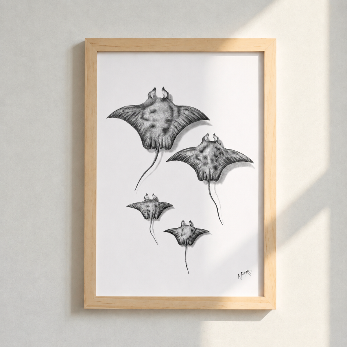 Manta's Gang