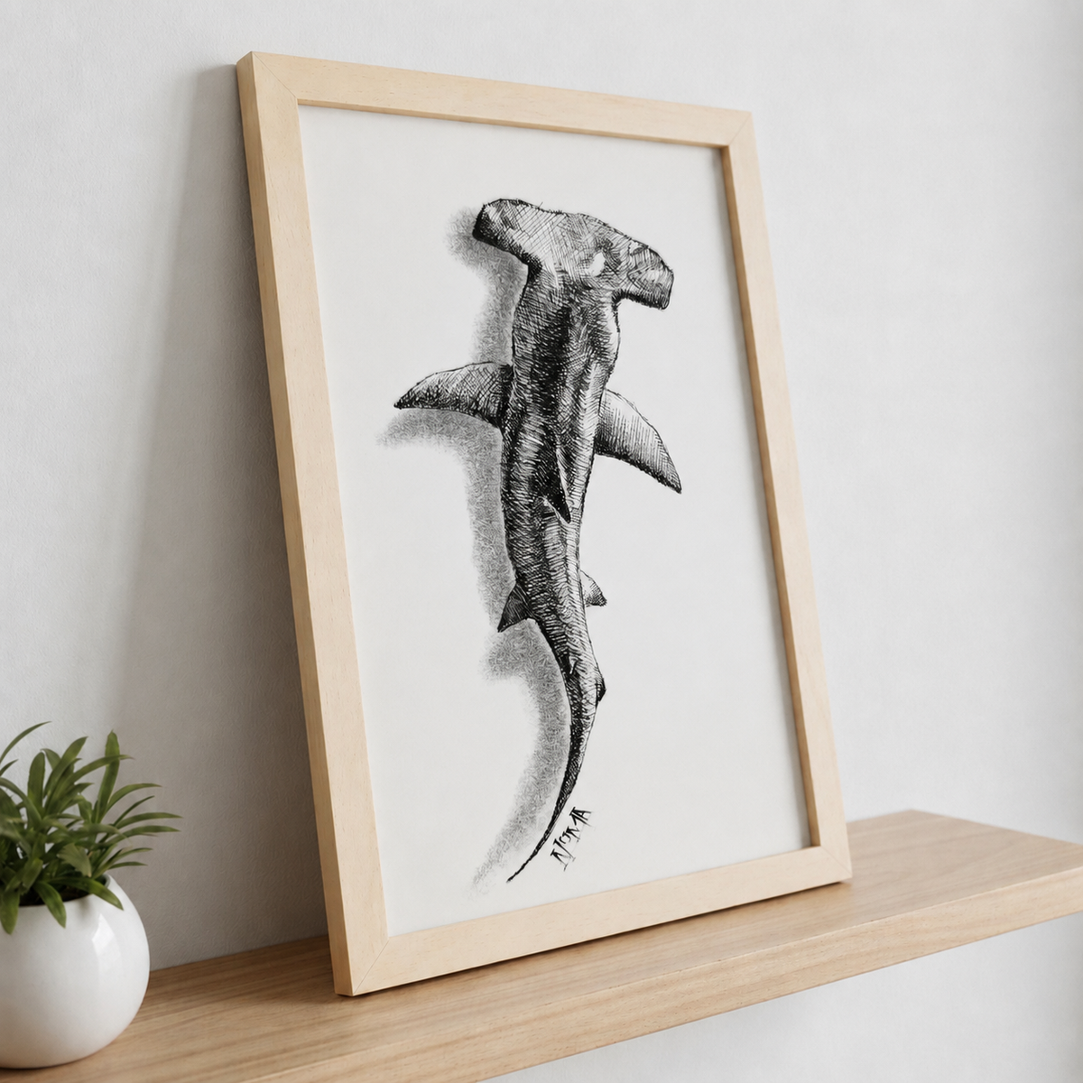Lone Hammerhead Shark