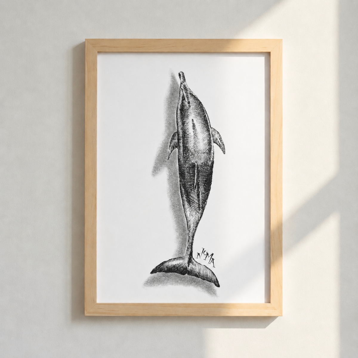 Lone Dolphin