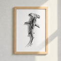 Lone Hammerhead Shark