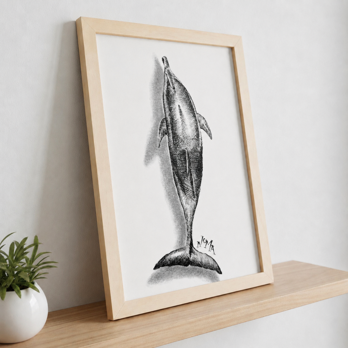 Lone Dolphin
